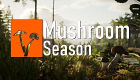 Mushroom Season