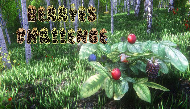 Buy Berries Challenge