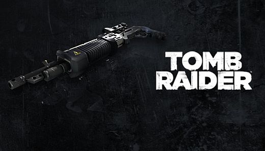 Tomb Raider: Agency SPS 12