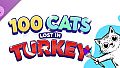 100 Cats Lost In Turkey - Extra Content