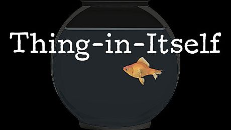 Thing-in-Itself Game