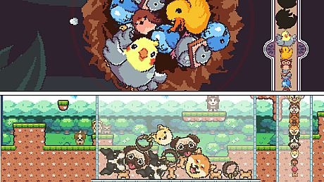 Suika Nest + Suika Wan! Bundle
