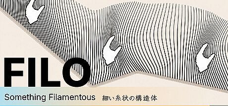FILO: Something Filamentous Game