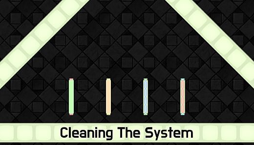 Cleaning The System