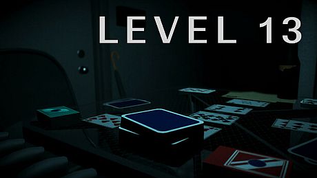 Level 13 Game