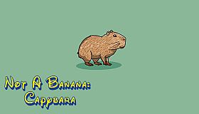 Not A Banana: Capybara