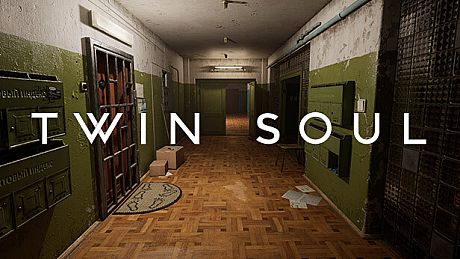 Twin Soul Game