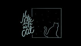My life as a cat