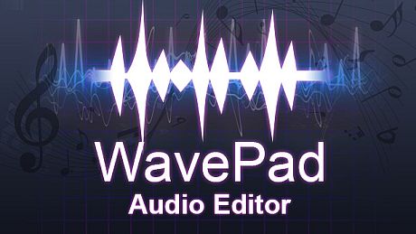 WavePad Audio Editor Game