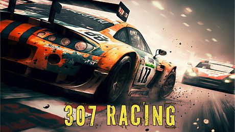 307 Racing Game
