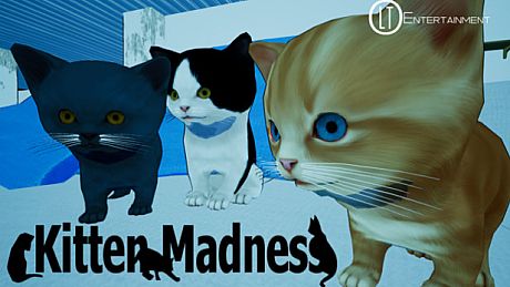 Kitten Madness