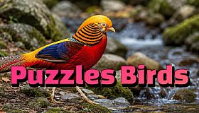 Puzzles Birds