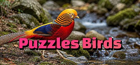 Puzzles Birds Game