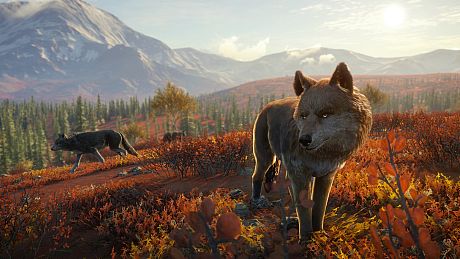 theHunter: Call of the Wild - Yukon Valley Bundle