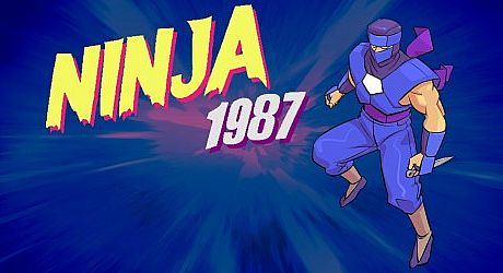 Ninja 1987 Game