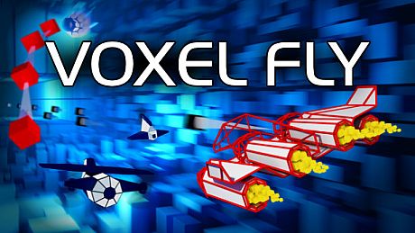 Voxel Fly Game
