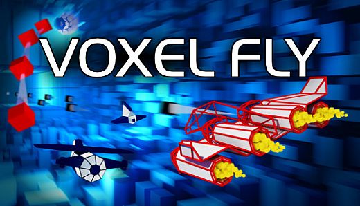 Voxel Fly