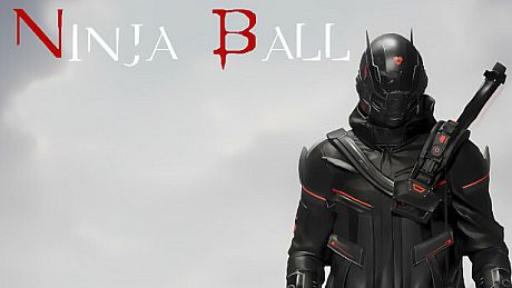 Ninja Ball Game