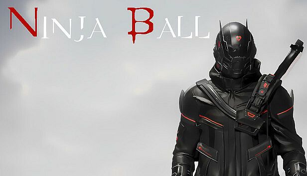 Buy Ninja Ball
