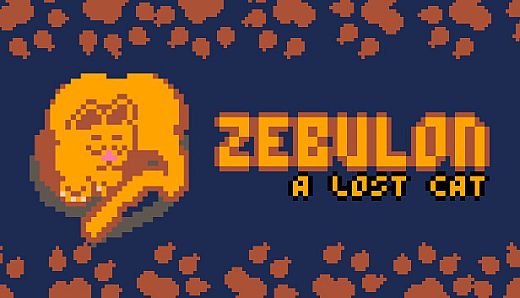 Zebulon: A Lost Cat