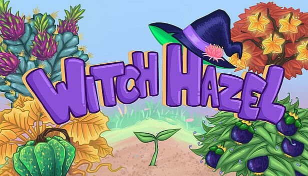 Buy Witch Hazel