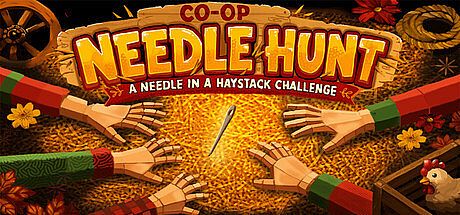 CO-OP Needle Hunt: A Needle in a Haystack Challenge Game