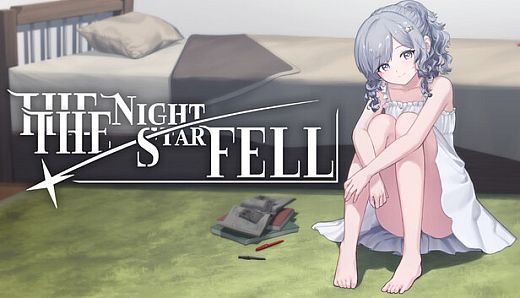 星星落下的夜晚