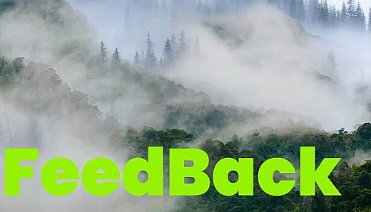 FeedBack
