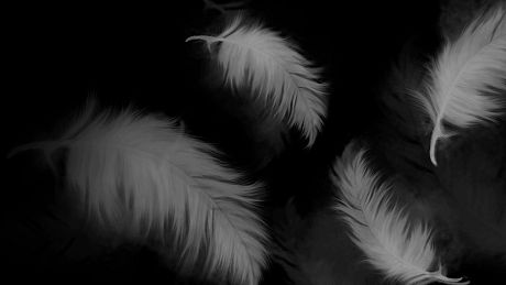 The Silent Swan Game