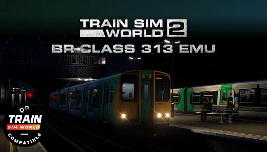 BR 313