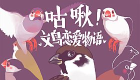 咕啾！文鸟恋爱物语 Love Story of Sparrow