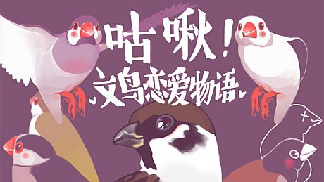 咕啾！文鸟恋爱物语 Love Story of Sparrow Game