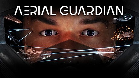 Aerial Guardian