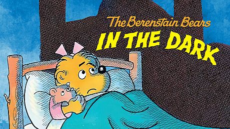 The Berenstain Bears In the Dark Game