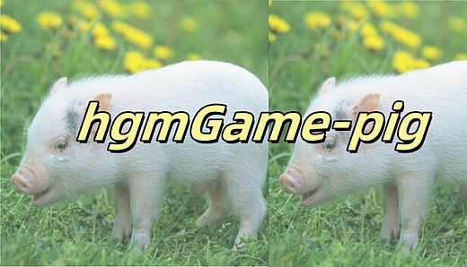 hgmGame-pig