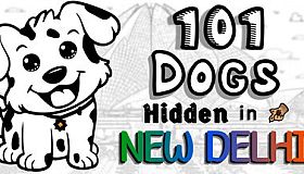 101 Dogs Hidden in New Delhi