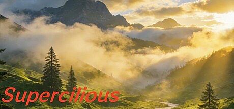 Supercilious