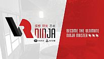 Kup VRNinja na PC