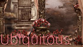 Ubiquitous