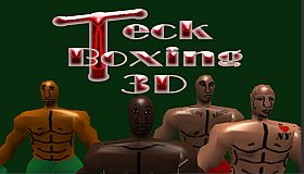 Teck Boxing 3D