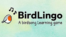BirdLingo: A birdsong learning game