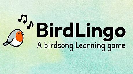 BirdLingo: A birdsong learning game Game