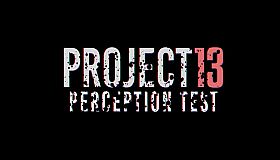 PROJECT 13 Perception Test