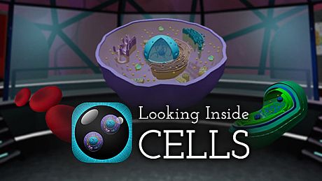 Looking Inside Cells Game