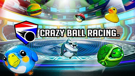 Crazy Ball Racing Game