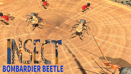 Insect: Bombardier beetle Game