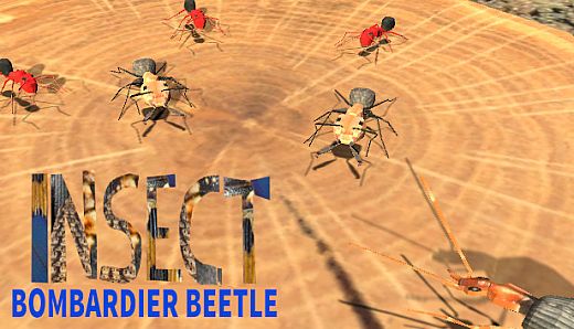 Insect: Bombardier beetle