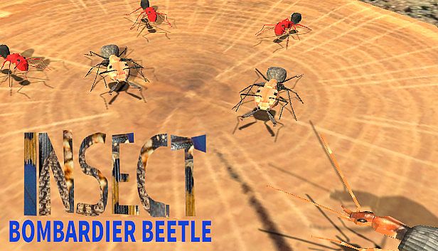 Buy Insect: Bombardier beetle