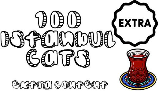 100 Istanbul Cats - Extra Content