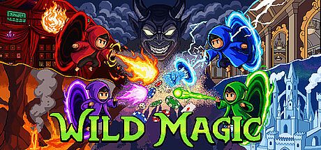 Wild Magic Game